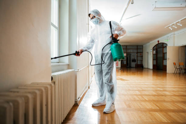 Wildlife Control Services in Springdale, SC